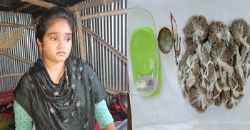 কালীগঞ্জে গাঁজা, ইয়াবা, ও গাঁজা মাপার পাল্লাসহ পপি গ্রেফতার