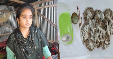 কালীগঞ্জে গাঁজা, ইয়াবা, ও গাঁজা মাপার পাল্লাসহ পপি গ্রেফতার