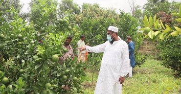 নওগাঁ’র পোরশা উপজেলার সৌখিন কৃষক ওবায়দুল্লাহ শাহ্
