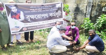 জাতীয় শোক দিবস পালন উপলক্ষে সাপাহারে বৃক্ষরোপণ কর্মসূচি