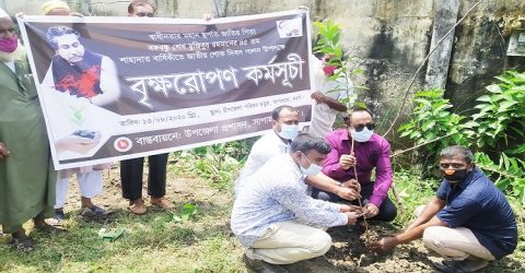 জাতীয় শোক দিবস পালন উপলক্ষে সাপাহারে বৃক্ষরোপণ কর্মসূচি