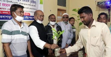 কলাপাড়ায় গাছের চারা বিতরণ ও বৃক্ষ রোপনের উদ্বোধন করলেন এমপি মুহিব