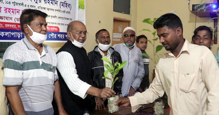 কলাপাড়ায় গাছের চারা বিতরণ ও বৃক্ষ রোপনের উদ্বোধন করলেন এমপি মুহিব