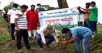 কলাপাড়ায় বেড়িবাঁধ রক্ষায় পাউবোর বৃক্ষ রোপন কর্মসূচী শুরু
