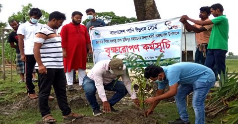 কলাপাড়ায় বেড়িবাঁধ রক্ষায় পাউবোর বৃক্ষ রোপন কর্মসূচী শুরু