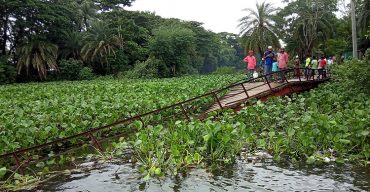 কলাপাড়ায় সেতু ভেঙ্গে খালে।। আট গ্রামের সড়ক যোগাযোগ বিচ্ছিন্ন