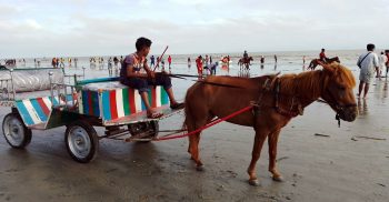 করোনার কারনে কুয়াকাটায় আগের মতো পর্যটক আসে না।। সারাদিনে যা কামাই তার অর্ধেকটা দিতে হয় মহাজনকে