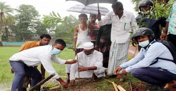 জলবায়ু পরিবর্তন ও পরিবেশের ভারসাম্য রক্ষায় উপকলীয় এলাকায় বৃক্ষ রোপন