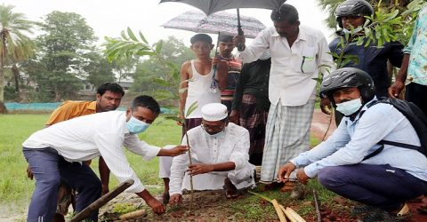 জলবায়ু পরিবর্তন ও পরিবেশের ভারসাম্য রক্ষায় উপকলীয় এলাকায় বৃক্ষ রোপন