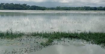 দশমিনায় প্রবল বৃষ্টি ও জোয়ারের পানি বৃদ্ধির কারণে চরম ভোগান্তিতে মানুষ