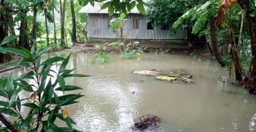 অতি বর্ষণে জনজীবন বিপর্যস্ত জলাবদ্ধতায় তলিয়ে গেছে আমনের খেত দশমিনায় অসহায় কৃষক