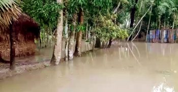 ঝালকাঠিতে আমাবস্যার প্রভাবে বেড়েছে পানি, ডুবেছে নিম্মাঞ্চল