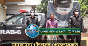 বেনাপোলের মাদক ব্যবসায়ী নায়েব গাঁজা সহ র‌্যাবের হাতে গ্রেফতার