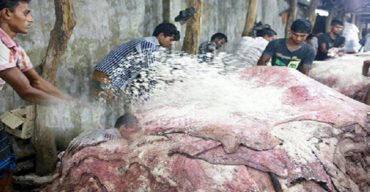 এবার লবণ নিয়ে কারসাজি হলে কঠোর ব্যবস্থা: বিসিক