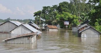 পটুয়াখালীতে বৃষ্টি-জোয়ারে ফসলের ক্ষতি ৬ কোটি টাকারও বেশি