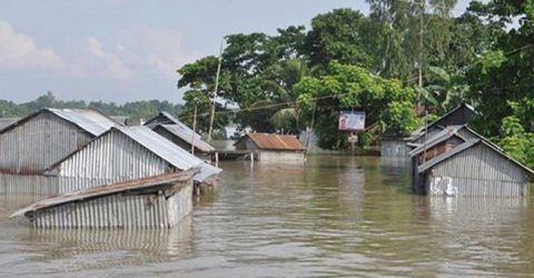 পটুয়াখালীতে বৃষ্টি-জোয়ারে ফসলের ক্ষতি ৬ কোটি টাকারও বেশি