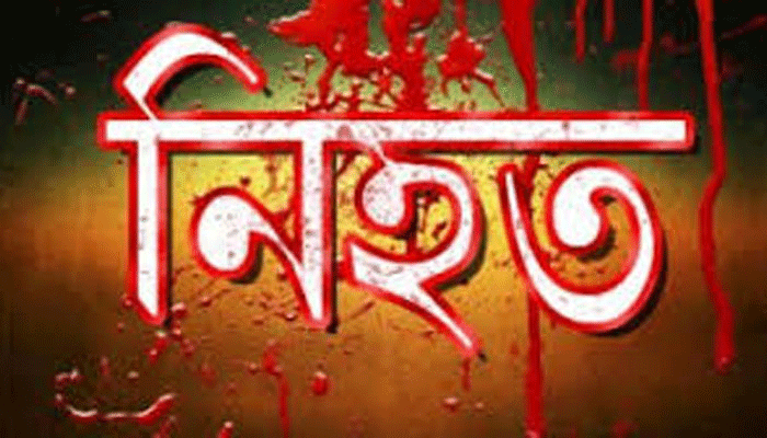 কলাপাড়ায় পৃথক ঘটনায় পুলিশ কনস্টেবলসহ তিনজন নিহত