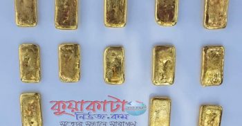 বেনাপোলে ১৩ পিস স্বর্ণের বারসহ এক মহিলা পাচারকারী আটক