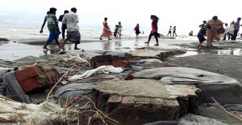 জলোচ্ছাস ও ঢেউয়ের তান্ডবে বিপদজনক কুয়াকাটার সমুদ্র সৈকত