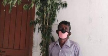 শৈলকুপায় গাঁজার গাছ ও গাঁজাসহ ব্যবসায়ী আটক