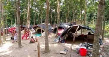 মহা বিপাকে আর মানবেতর জীবন-যাপন ঝিনাদহ শৈলকুপার বেদে সম্প্রদায়ের