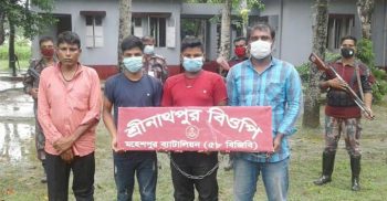 মহেশপুর সীমান্ত অবৈধভাবে ভারতে প্রবেশ আটক ৪