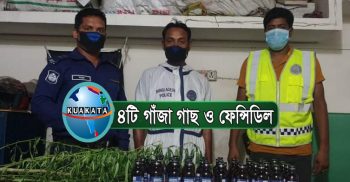 বেনাপোল থানা পুলিশের অভিযান ৪টি গাঁজা গাছ ও ভারতীয় ফেন্সিডিল উদ্ধার
