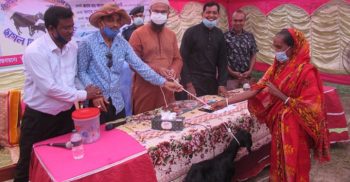 ঝিনাইদহে অসহায় দুস্থ নারীদের মাঝে ছাগল বিতরণ
