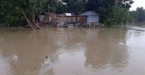 মান্দায় নতুন করে আত্রাই নদীর বাঁধে ভাঙ্গন: আবারও বন্যার আশঙ্কা