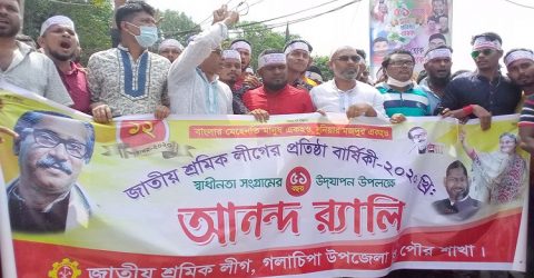 গলাচিপায় শ্রমিক লীগের প্রতিষ্ঠা বার্ষিকী পালিত
