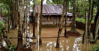 ঝালকাঠিতে টানা বর্ষণে পানি বৃদ্ধিতে নিম্নাঞ্চল প্লাবিত