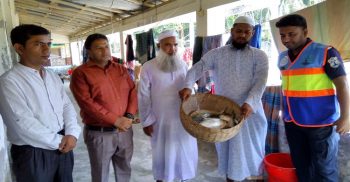 ইলিশ শিকার করায় কলাপাড়ায় তিন জেলেকে জরিমানা