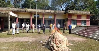 সাপাহারে মোবাইলকোর্টে করচাল জাল ধ্বংস