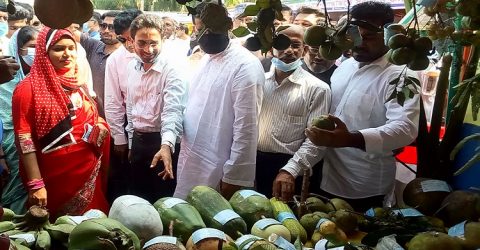 দশমিনায় কৃষি প্রযুক্তি মেলার উদ্ধোধন