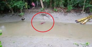 শরীয়তপুরে খালে ভাসছে তরুণীর হাত পা বাঁধা লাশ