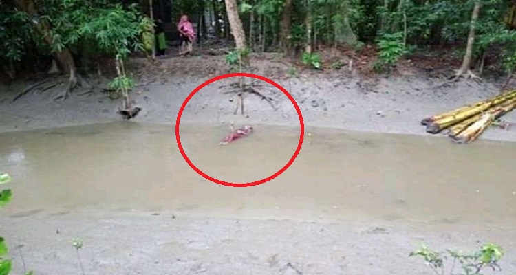 শরীয়তপুরে খালে ভাসছে তরুণীর হাত পা বাঁধা লাশ
