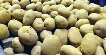 আলুর কেজি ৩৫ টাকা নির্ধারণ করল সরকার