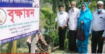 জেলা পরিষদের অর্থায়নে গলাচিপায় সড়কের দু’পাশে বৃক্ষরোপন