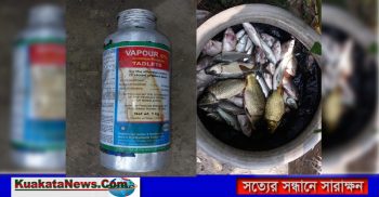 শার্শায় ঘেরে বিষ ট্যাবলেট দিয়ে সাত লক্ষ টাকার মাছ মারার অভিযোগ