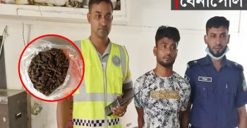 বেনাপোলের মুড়ি বিক্রেতা আকাশ ভারতীয় গাঁজাসহ পুলিশের হাতে গ্রেফতার