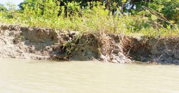 গলাচিপায় ভাঙনের কবলে সাংবাদিক আলতাফের কবর