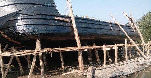 সুন্দরবনের নিষিদ্ধ সুন্দরী কাঠ দিয়ে নৌকা তৈরী!