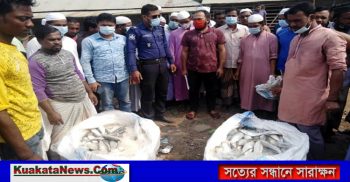 কলাপাড়ায় জাটকা ইলিশ জব্দ