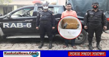 বেনাপোলের মাদক ব্যবসায়ী রফিকুল গাঁজাসহ র‌্যাবের হাতে গ্রেফতার
