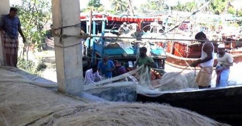গলাচিপায় ব্যাস্ত সময় পার করছে জেলেরা