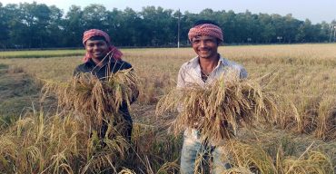 উপকূলীয় বিস্তির্ন মাঠ জুড়ে বইছে পাকা ধানের ঘ্রান