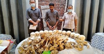 ময়মনসিংহে খুলি ও কঙ্কালসহ গ্রেপ্তার বাপ্পী তিন দিনের রিমান্ডে