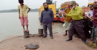 পটুয়াখালীর গলাচিপায় ৫কেজি ওজনের একটি কচ্ছপ অপমুক্ত