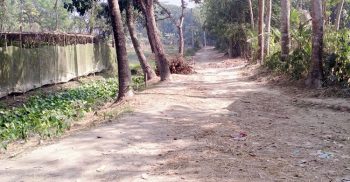 সীমান্তবর্তী রাস্তা পাকাকরণ নিয়ে রশি টানাটানি