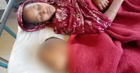 রাঙ্গাবালীতে ধান কাটার সংঘর্ষে নারীসহ আহত ৭, আটক-২